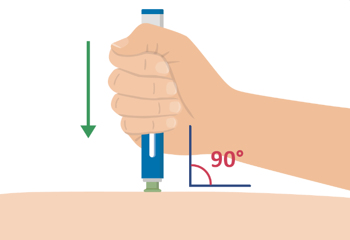 image7.png