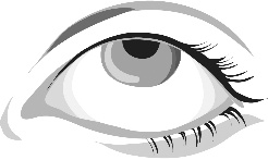 image1.jpeg