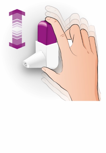 image4.jpeg