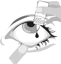 image3.jpeg