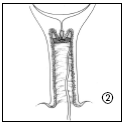 image2.png