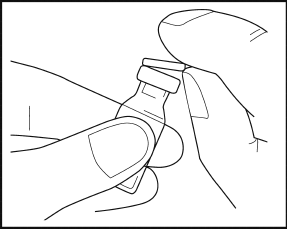 image2.png