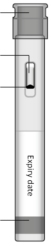 image12.png
