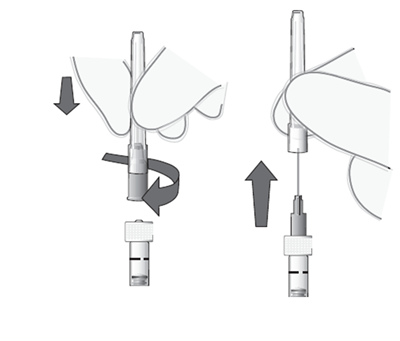 image4.png