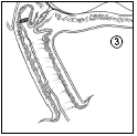 image3.png