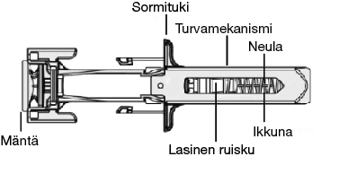 image3.jpeg