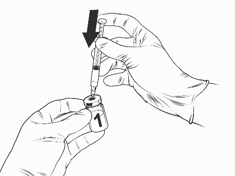 image2.png