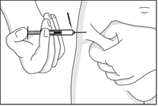 image4.png