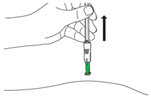 image12.png