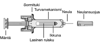 image2.jpeg