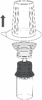 image3.jpeg