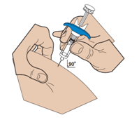 image6.png