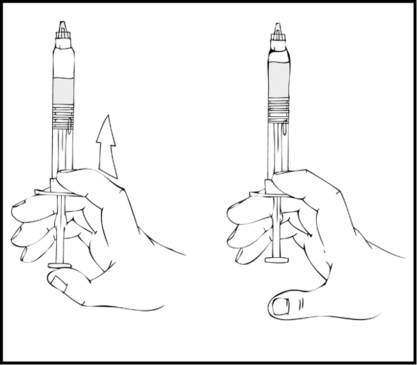 image21.jpeg