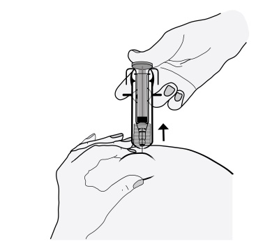 image11.jpeg