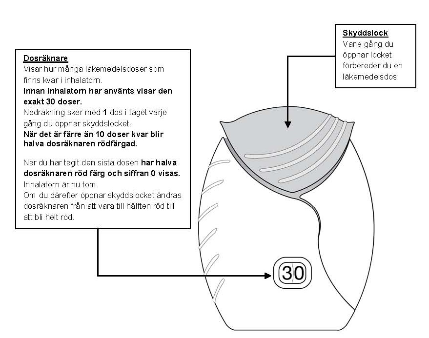 image6.jpeg
