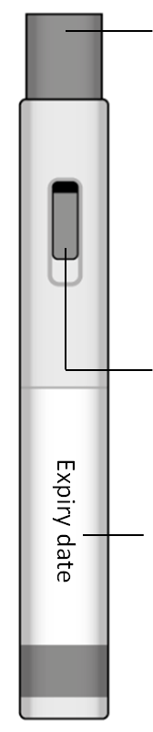 image13.png