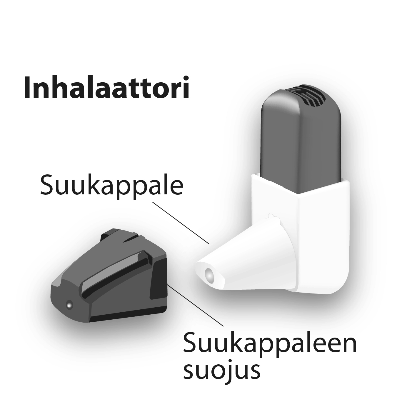 image2.jpeg