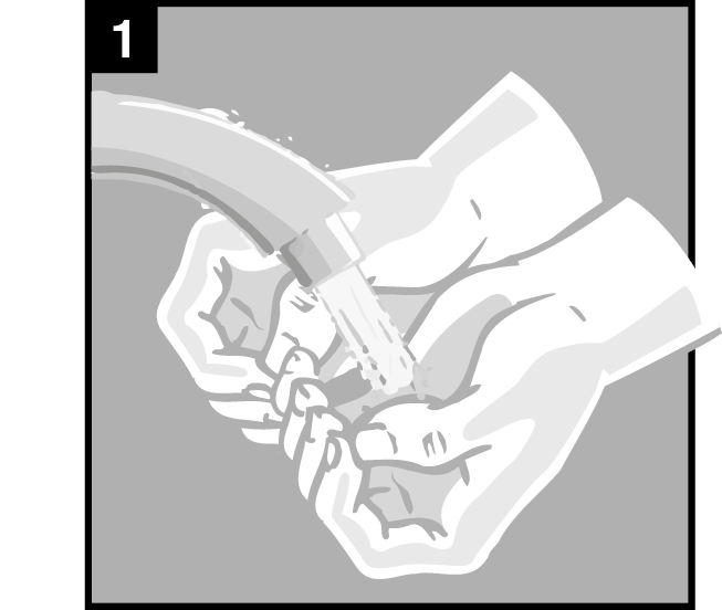 image1.png
