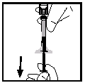 image8.png