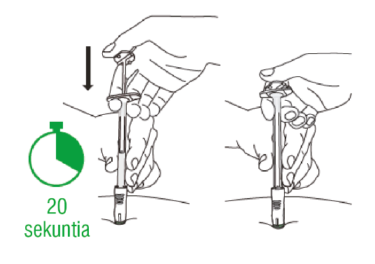 image11.png
