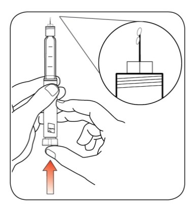 image11.jpeg