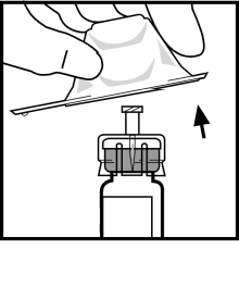 image3.png
