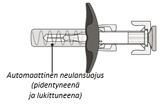 image4.png