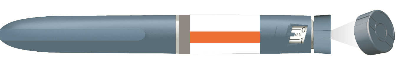 image1.png