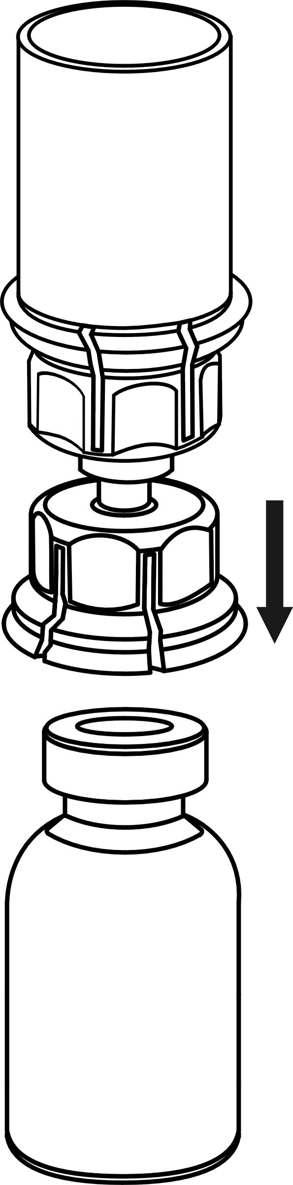 image4.jpeg