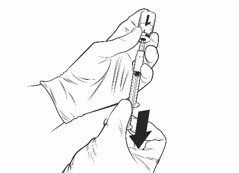 image4.png