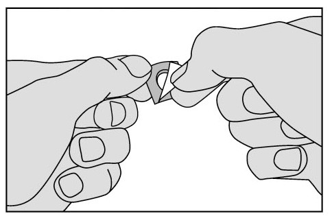 image4.jpeg
