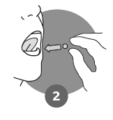 image12.png
