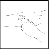 image8.png