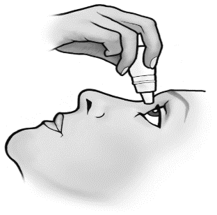 image1.png