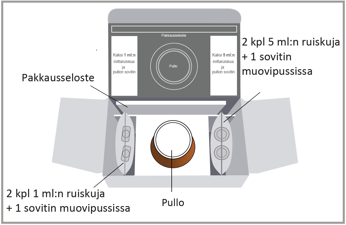 image1.png