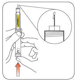 image12.png