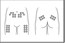 image5.png