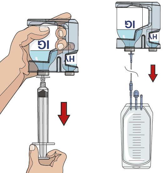 image7.png