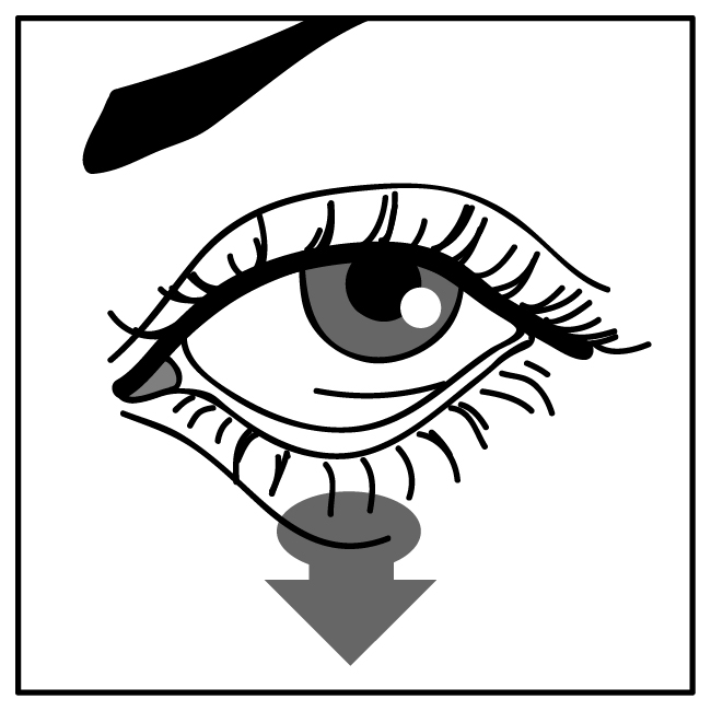 image2.jpeg