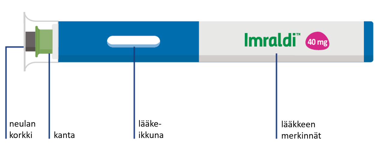 image1.png