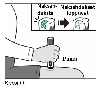 image23.png