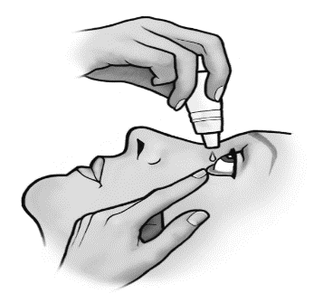 image2.png