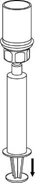 image9.jpeg