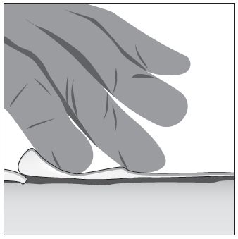 image2.png