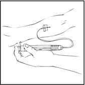 image9.png