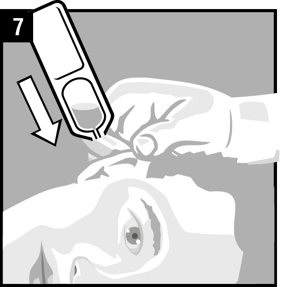 image7.png