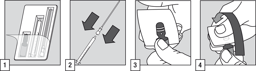 image1.png