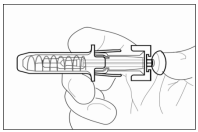 image11.png