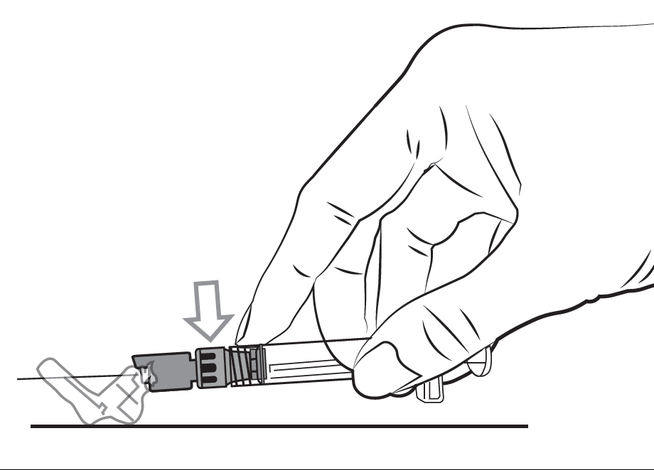 image9.png