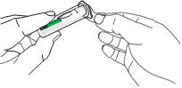 image6.png